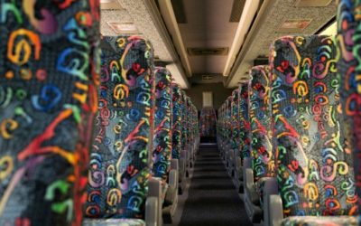 Custom Tours on Maui