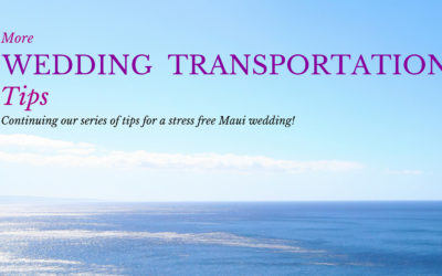 More Wedding Transportation Tips