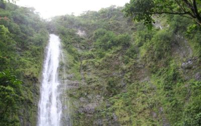 Activities to Try on Your Maui Corporate Retreat