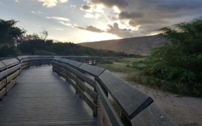 Maui Sightseeing Series – Kealia Coastal Boardwalk