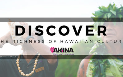Take Your Employees on a Special Cultural Tour with Akina Tours and Transportation