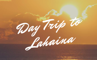 Day Trip to Lahaina