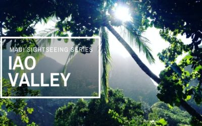 Maui Sightseeing Series – Iao Valley