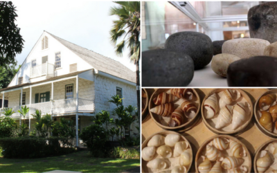 Maui Sightseeing Series – Hale Hoikeike at The Bailey House