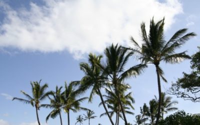 The Best of Wailea-Makena