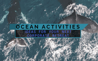 Best Ocean Activity Ideas For Your Next Corporate Retreat