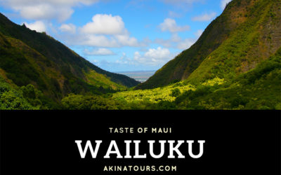Taste of Maui  – Wailuku Town
