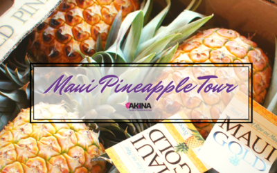 Hot Maui Attraction: Old Hawaii Pineapple Plantation Tour