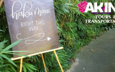 Have Fun on Maui with a Haku Lei Making Tour