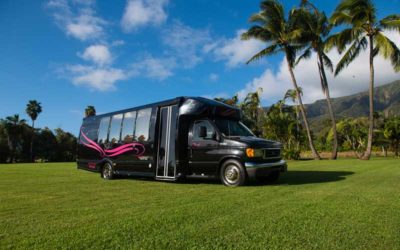 Our Maui Limo Bus Rental Has You Showing Up in Style!
