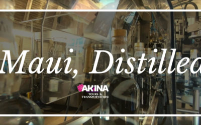 Maui Distillery Tour for Vodka, Rum, Gin & Whiskey Lovers Alike