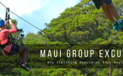 Why Ziplining Should be Your Next Group Activity