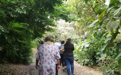 Why Maui Retreats are the Best for Fun Group Activities