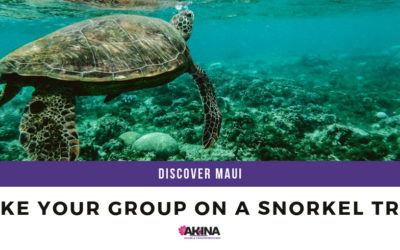Take Your Group on a Snorkel Trip!