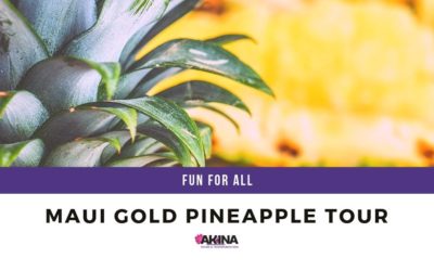 Maui Gold Pineapple Tour is a Fun & Unique Time for All!