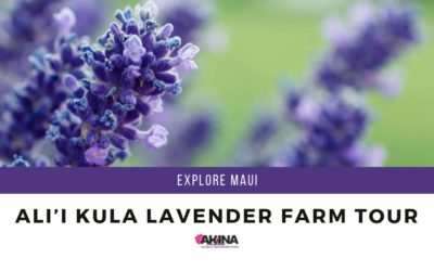 Explore Maui with the Ali’i Kula Lavender Farm Tour