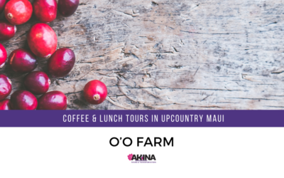 Take the O’o Farm Coffee & Lunch Tours in Upcountry Maui