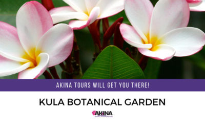 Tour the Kula Botanical Garden – Akina Tours Will Get You There!